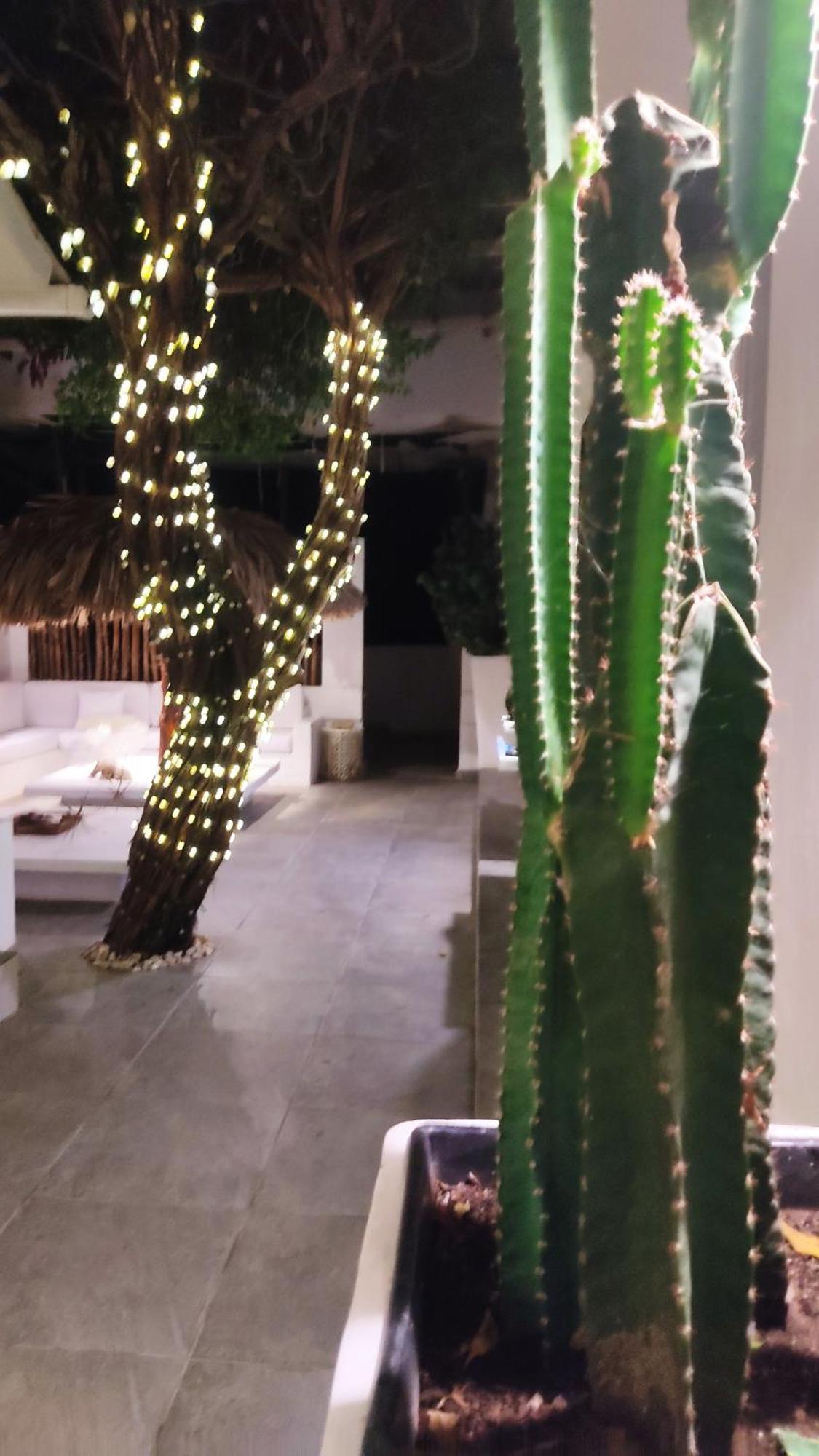 Rincon Del Mar Veleros Hotel San Onofre ภายนอก รูปภาพ