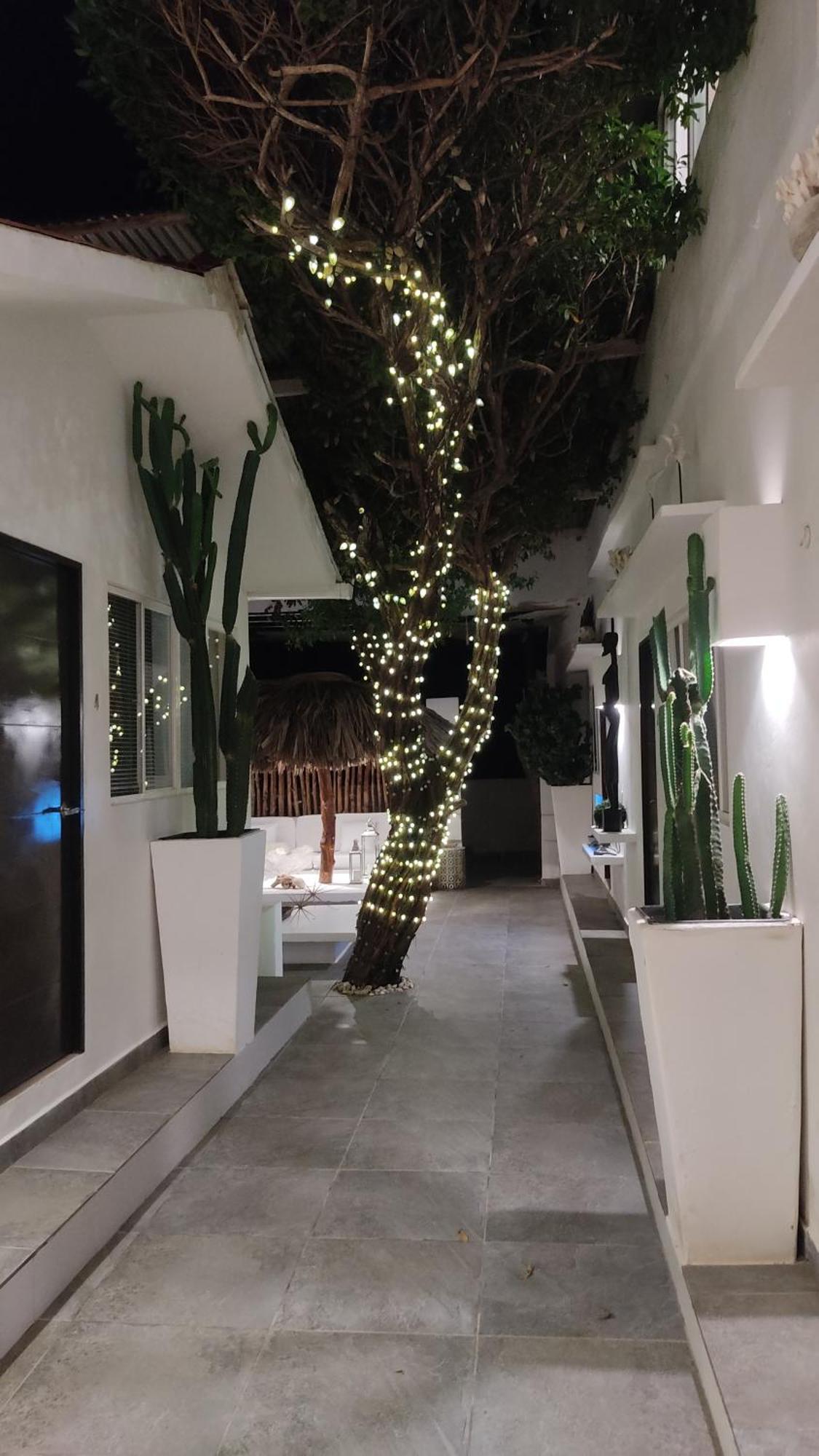 Rincon Del Mar Veleros Hotel San Onofre ภายนอก รูปภาพ