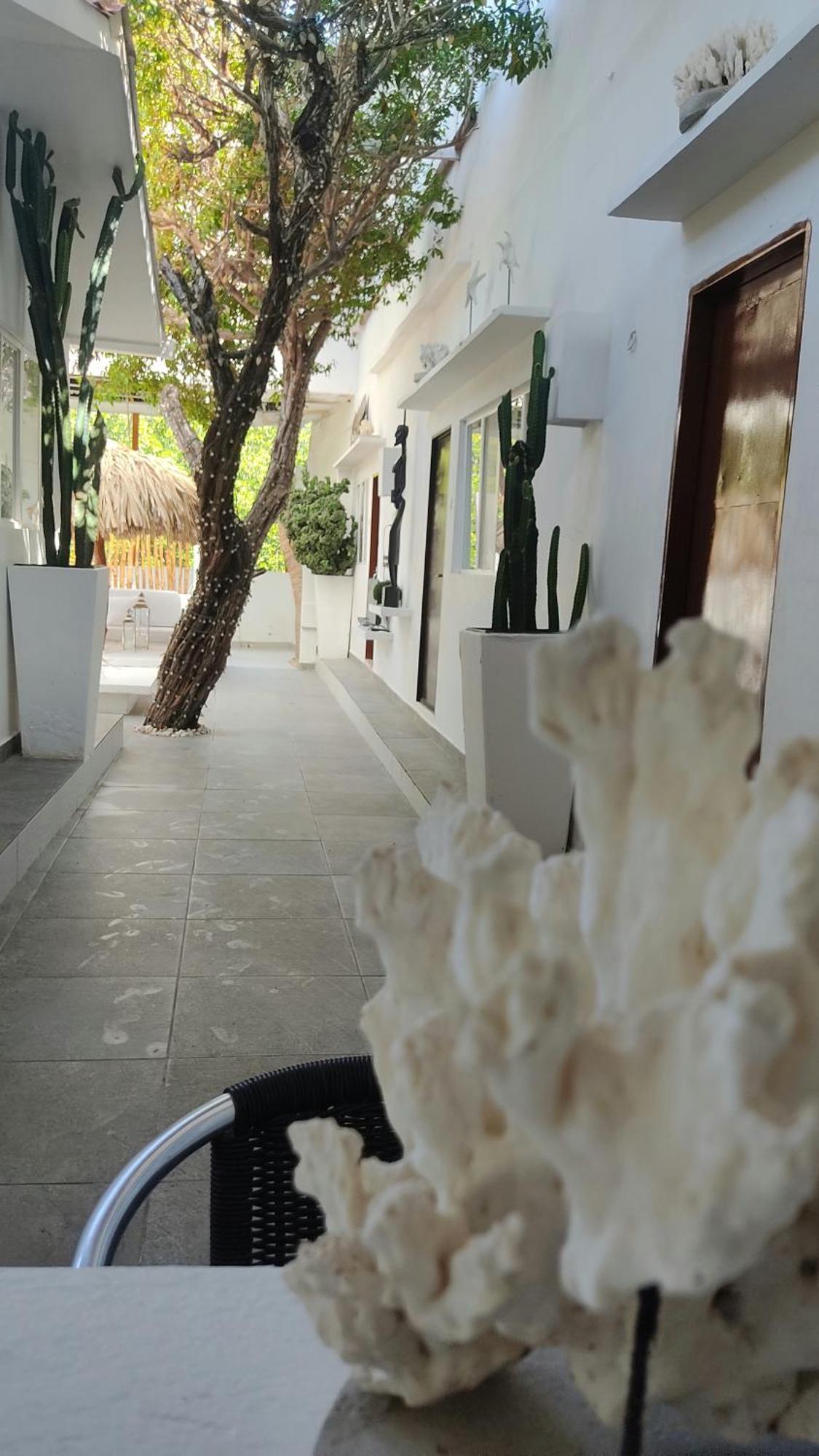Rincon Del Mar Veleros Hotel San Onofre ภายนอก รูปภาพ